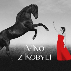 Patria Kobylí, a.s.