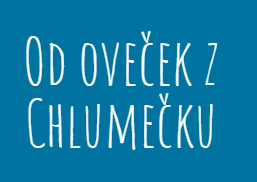 Mgr. Václava Bílková