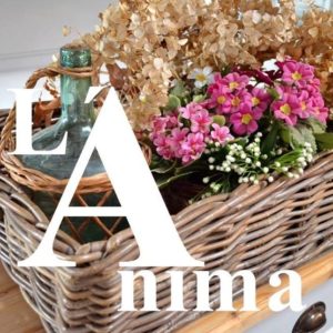 ALICE PROMOTION CZ, s.r.o.