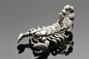 S2129 OBŘÍ Přívěsek ŠTÍR z chirurgické oceli 8cm