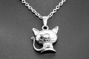 S2253 Přívěsek KOČKA + řetízek z chirurgické oceli