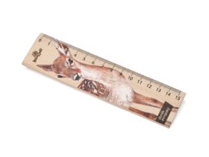 Lesní svět Dřevěné pravítko 15 cm – Daněk