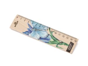 Lesní svět Dřevěné pravítko 15 cm – Modrásek