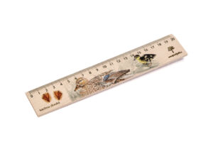 Lesní svět Dřevěné pravítko 20 cm – Kachna divoká
