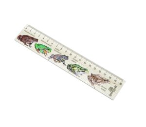 Lesní svět Dřevěné pravítko 20 cm – Žáby