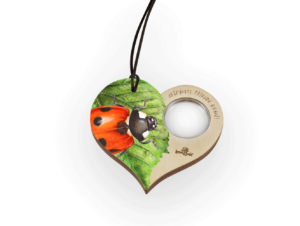 Lesní svět Lupa – Slunéčko