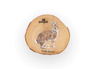 Lesní svět Magnet letokruh – Králík