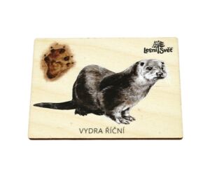 Lesní svět Magnet velký – Vydra