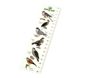 Lesní svět Papírová záložka s měřítkem – Krahujec