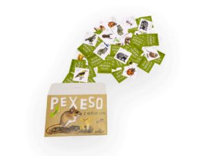 Lesní svět Papírové pexeso – Z našeho lesa