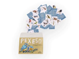 Lesní svět Papírové pexeso – Z ptačí říše