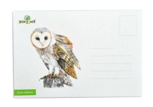 Lesní svět Puzzle do kapsy – Sova Pálená
