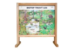 Lesní svět Stolní biotop s magnety – Tmavý les
