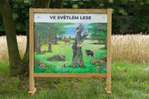 Lesní svět Stolní biotop s magnety – Ve světlém lese