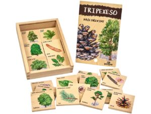 Lesní svět Tripexeso – Dřeviny