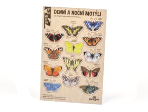 Lesní svět Velké vylomeniny – Noční a denní motýli