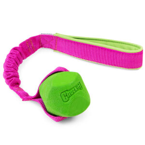 Bungee s Chuckitovým nevyzpytatelným míčem P2