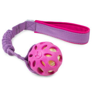 JW Pet  crackle ball bungee P9