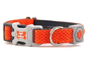 3D oranžový obojek