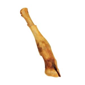 Sušená ovčí noha