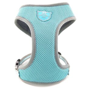 Kšírky pro psy 3D Aqua Blue