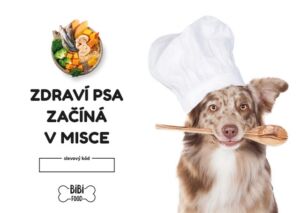 Dárkový šek v hodnotě 1000 Kč