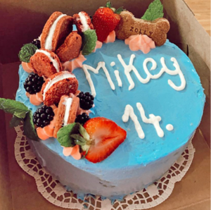 Party slavnostní dort pro psy MAXI 22cm