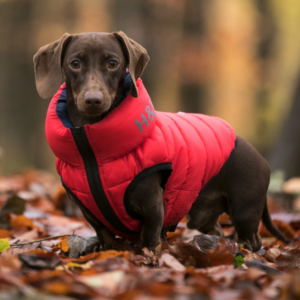 Péřovka Red & Navy oboustranná