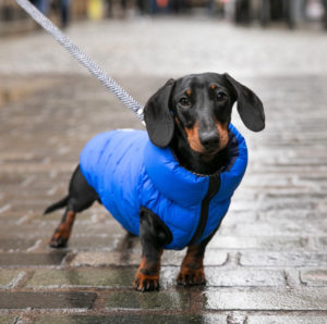 Péřovka Blue & Navy oboustranná