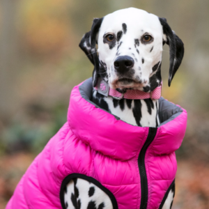 Péřovka Pink & Grey oboustranná