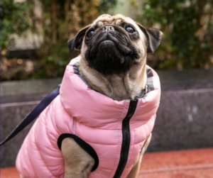 Péřovka Light Pink & Grey oboustranná