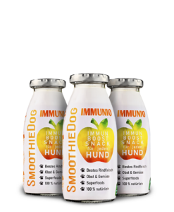 Imunita vývar pro psy – smoothie