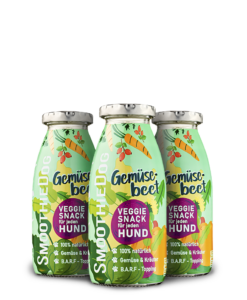 Zeleninový vývar pro psy –  smoothie