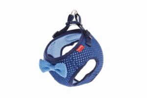 Kšírky pro psí kluky s motýlkem