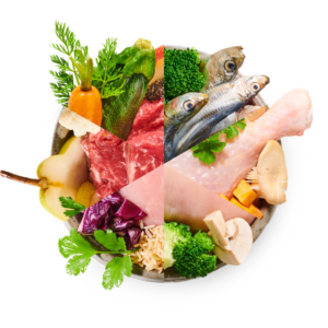 BiBi 28 denní mix – vařené psí jídlo