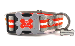 Oranžový pruhovaný obojek