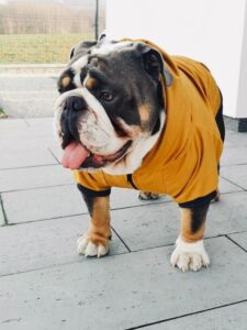 Mikina se zipem a kapucí – šití na míru