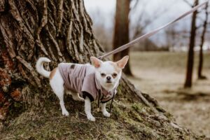 Bunda prošívaná VELVET – šití na míru