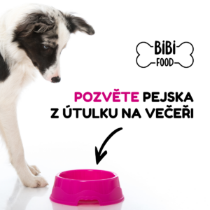 Večeře pro dalšího