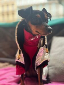 Bunda SILVER – šití na míru