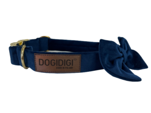 Obojek šířka 2cm s motýlkem – šití na míru