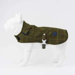 Anglická zelená kostka kabátek