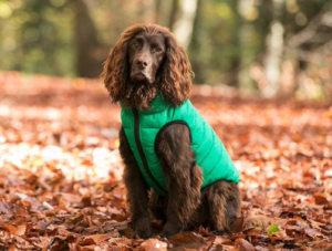 Péřovka Green & Grey oboustranná