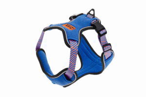 Kšírky ARIA modré