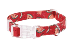 Obojek vodní meloun