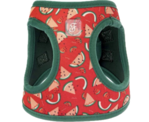 Kšírky vodní meloun