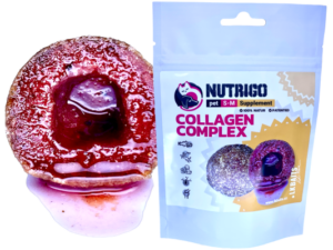 NUTRIGO Collagen Complex, S-M, 170g