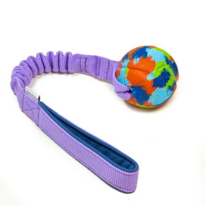 Chuckit! ECO Fetch s bungee
