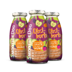 Ovocný vývar pro psy – smoothie