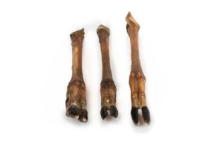 Sušená jelení noha